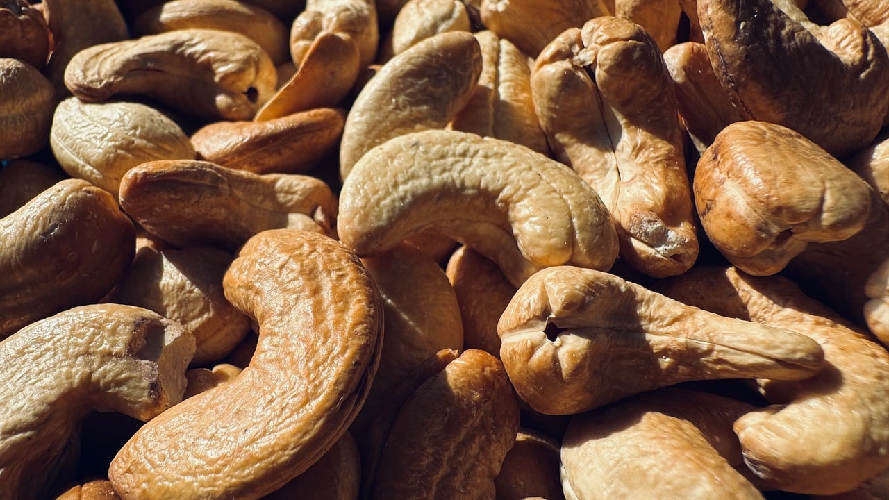 1747208468_nootjes-eten.jpg 1747208468_nootjes-eten.jpg